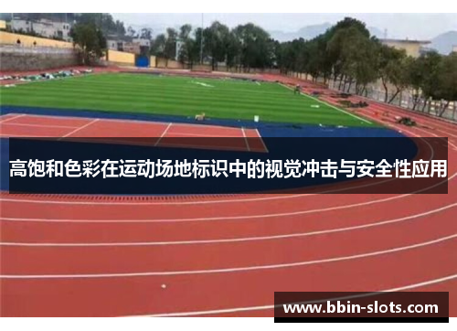 高饱和色彩在运动场地标识中的视觉冲击与安全性应用