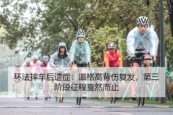 huan-fa-shuai-che-hou-yi-zheng-wen-ge-gao-bei-shang-fu-fa-di-san-jie-duan-zheng-cheng-jia-ran-er-zhi-2-562.jpg