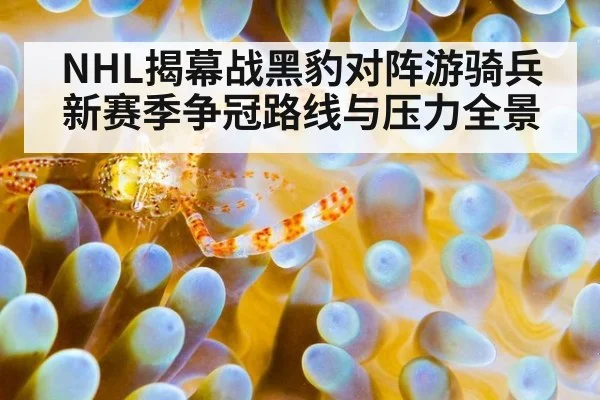 NHL揭幕战黑豹对阵游骑兵 新赛季争冠路线与压力全景