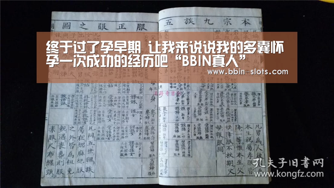 BBIN下载