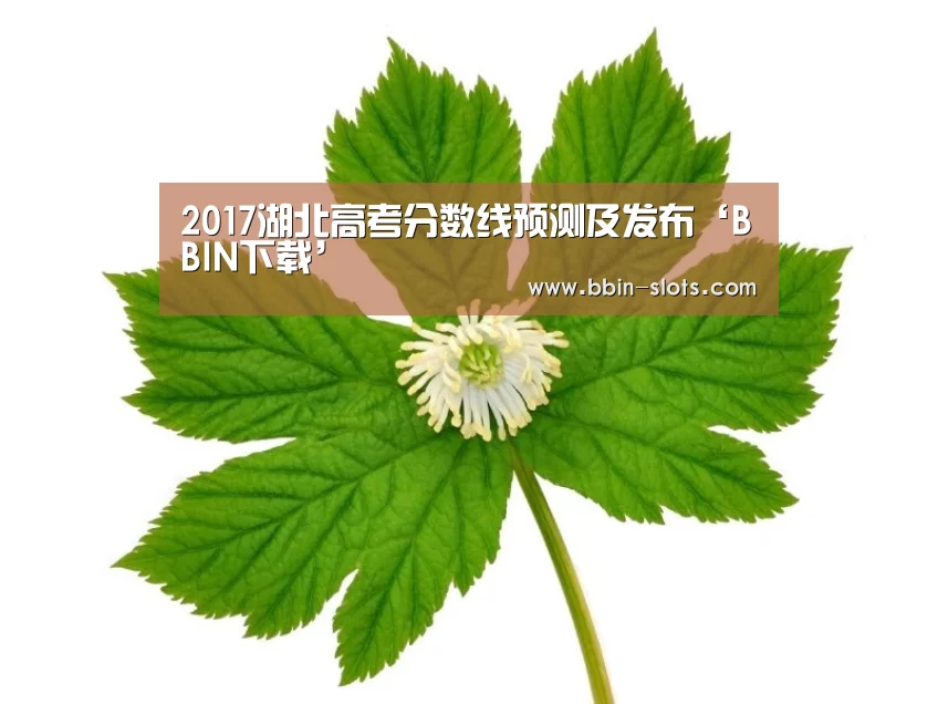 BBIN下载