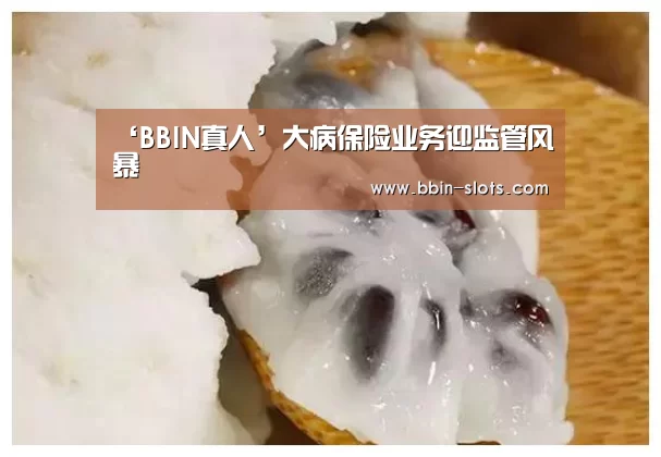 BBIN视讯