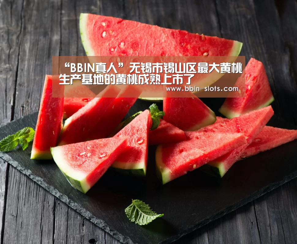 “BBIN真人”无锡市锡山区最大黄桃生产基地的黄桃成熟上市了(图1) BBIN百家乐