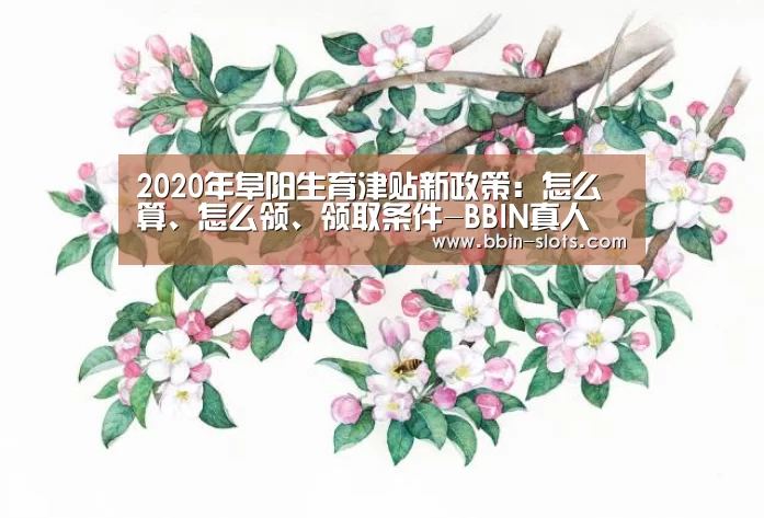 BBIN下载