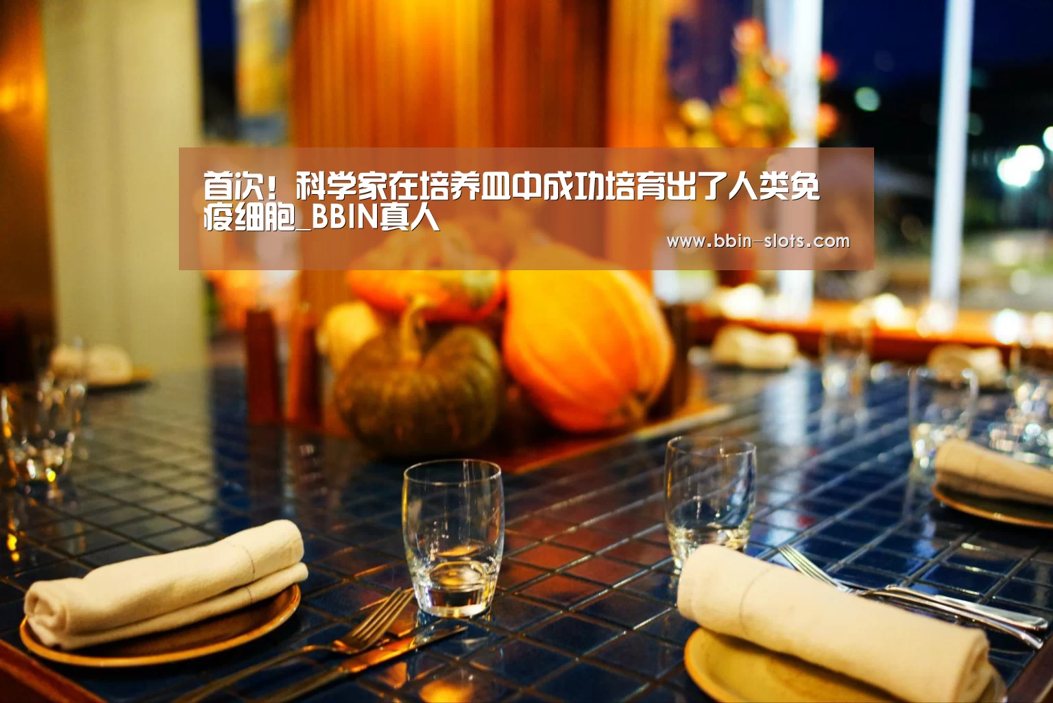 BBIN百家乐