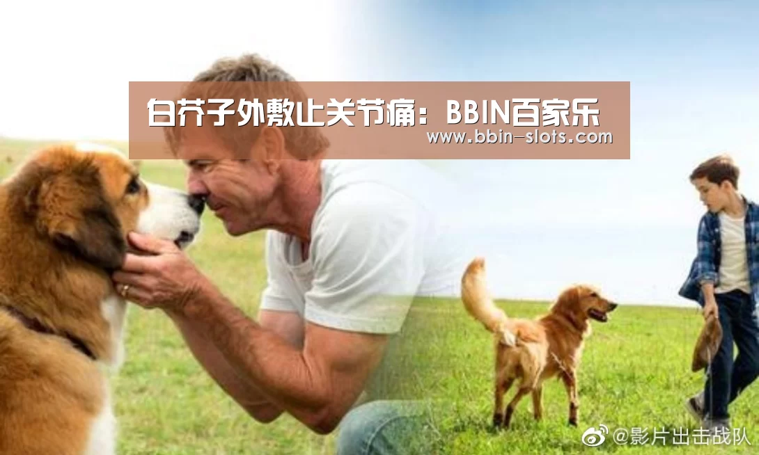 白芥子外敷止关节痛：BBIN百家乐