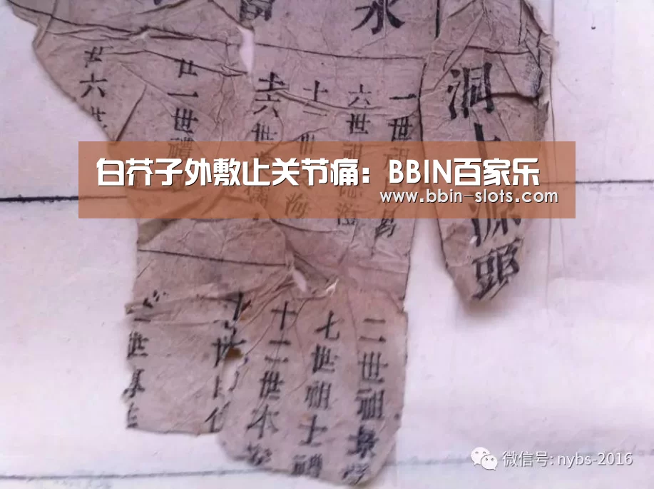 BBIN下载